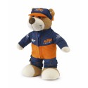 TEDDY