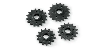 PIÑÓN - 580330290