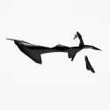 PLASTIC PARTS KIT - A60608953044C1