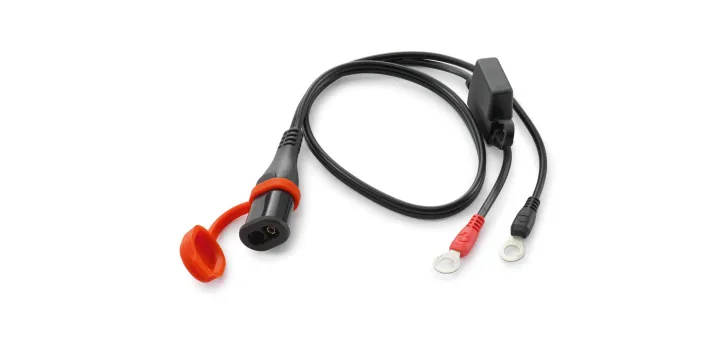 CABLE OF CARGA - 79629974010