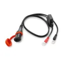 CABLE OF CARGA - 79629974010