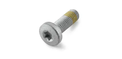 TORNILLO HEXAGONAL CON TORX INTERIOR CON COLLARÍN M10X30 - 0032100306S