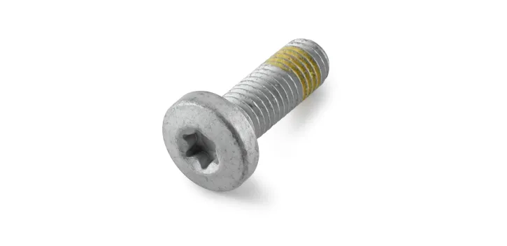 TORNILLO HEXAGONAL CON TORX INTERIOR CON COLLARÍN M10X30 - 0032100306S