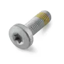 HEXAGONAL TORNING WITH INTERIOR TORX WITH COLLARÍN M10X30 - 0032100306S