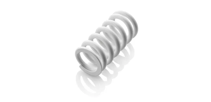 SHOCK ABSORBER SPRING - S809820013000