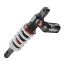 APEX PRO 6746 SHOCK ABSORBER - 15180R81SET
