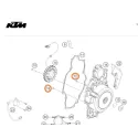 TORNILLO CALIBRADOR KTM 9,8 X 7 X 10