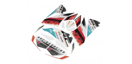 "RACE" GAME OF HUMAN RIGHTS DEFENDERS