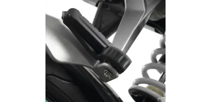 PROTECTORS OF ACOMPAIGNATURE