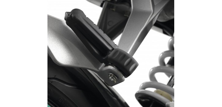 PROTECTORS OF ACOMPAIGNATURE