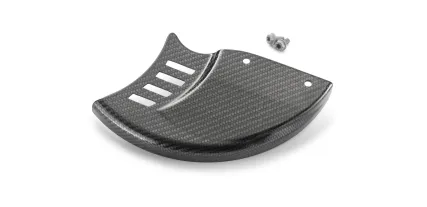 PROTECTOR OF FRENCH DISCO