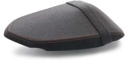 ASSESSMENT OF PASSJERO ERGO