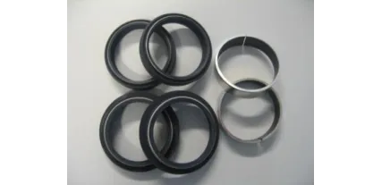R516T KIT RETENES HORQUILLA  43mm