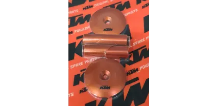 PROTECTOR OF THE BASCULAR