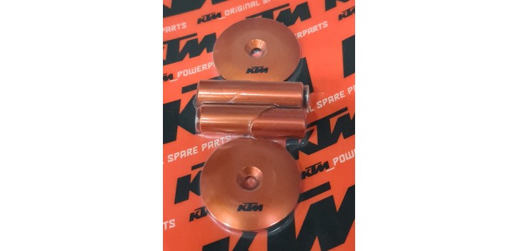 PROTECTOR OF THE BASCULAR