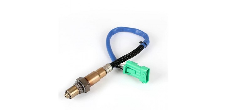 oxygen sensor