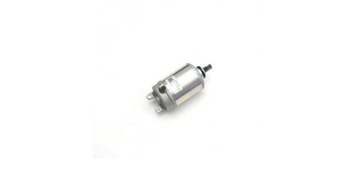 MOTOR E-STARTER CPL.
