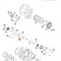 OILPUMP ROTOR-SET 12MM CPL.