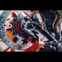 KIT OF ANICAL PROTECTORS KTM