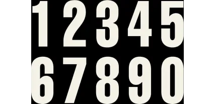 WHITE NUMBER 0 FOR DORSAL