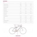 BICICLETA ELÉCTRICA ENDURO ECC 4 GAS GAS