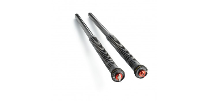 AP06C100U001221 CARTUCHS RC KTM APEX PRO 6500