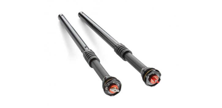 0963C104W001220 CARTUCH DUKE KTM APEX PRO 6500