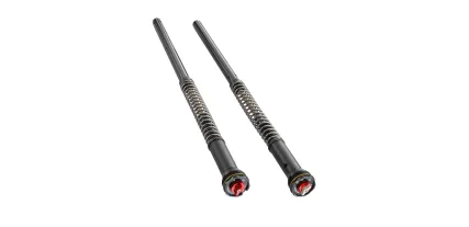 53182R81SET CARTUCHS DUKE 790 DUKE GP 890 VITPILEN 801 KTM APEX PRO 6500
