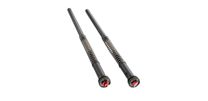 53182R81SET CARTUCHS DUKE 790 DUKE GP 890 VITPILEN 801 KTM APEX PRO 6500