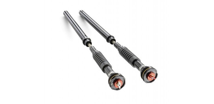 A607C126X001220 CARTUCHS DUKE KTM APEX PRO 6500