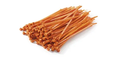 BRIDAS NARANJAS