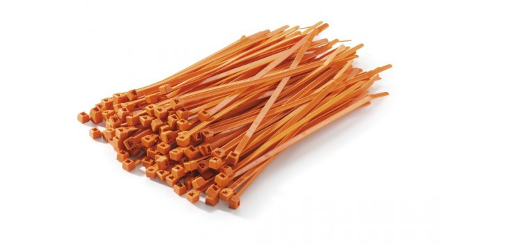BRIDAS NARANJAS