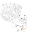 0770170200 JUNTA TÓRICA  KTM  17,00 X 2,00