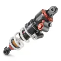 APEX PRO 8750 SHOCK ABSORBER - A674C401Y413220
